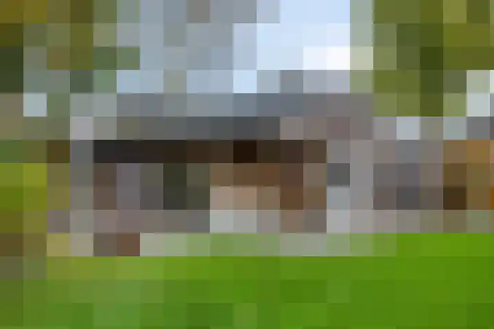 de Hop 4 Roden thumbnail 59