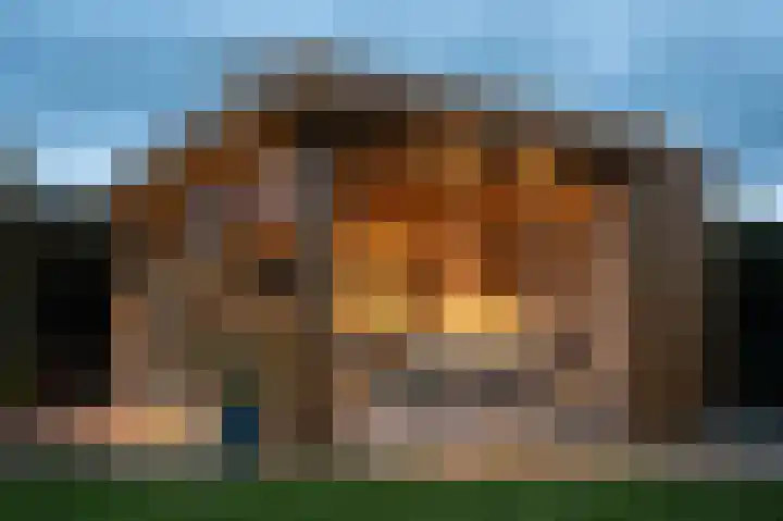 de Hop 4 Roden thumbnail 60