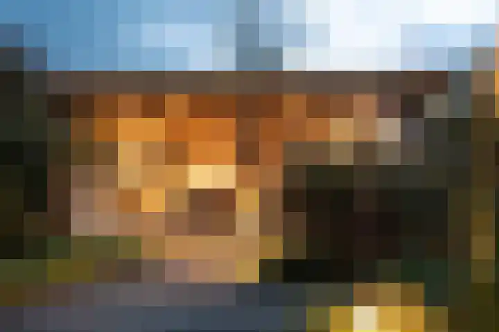 de Hop 4 Roden thumbnail 61