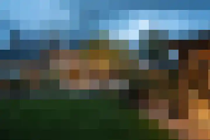de Hop 4 Roden thumbnail 63