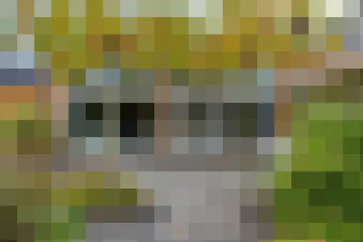de Hop 4 Roden thumbnail 64