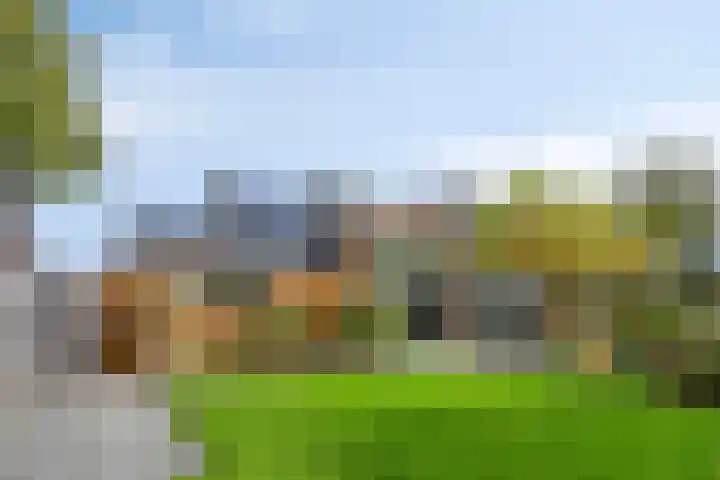 de Hop 4 Roden thumbnail 65