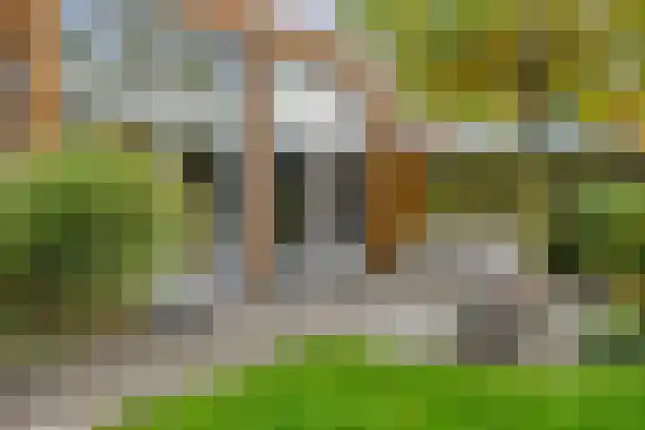 de Hop 4 Roden thumbnail 66