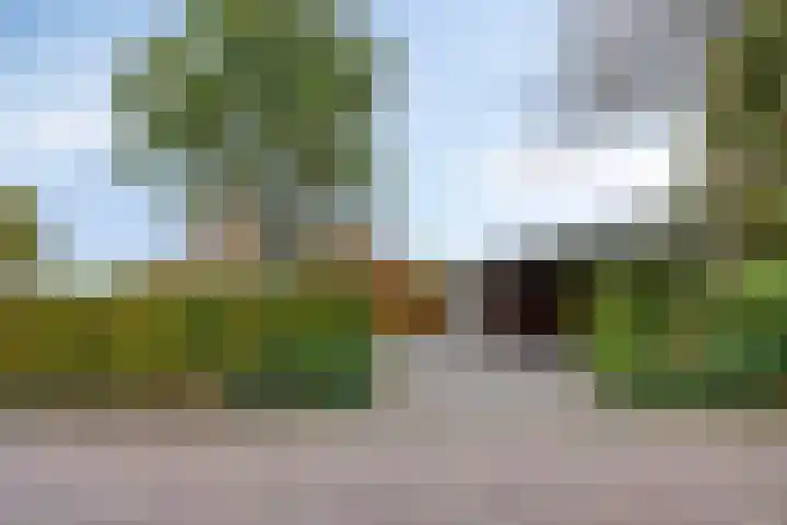 de Hop 4 Roden thumbnail 68