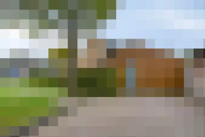 de Hop 4 Roden thumbnail 69