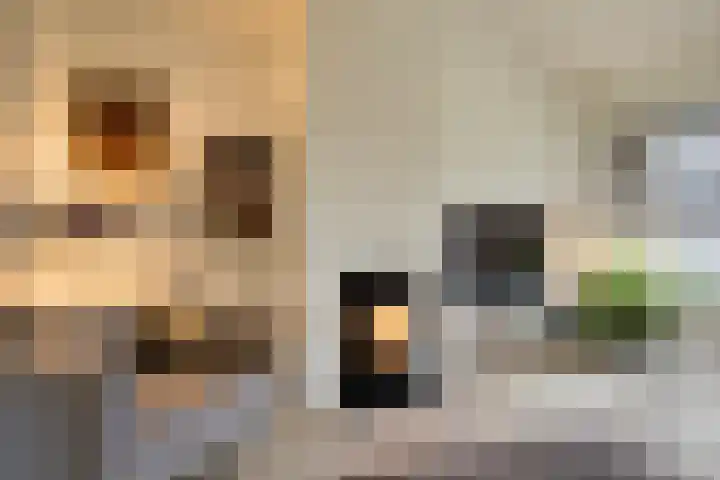 de Hop 4 Roden thumbnail 7