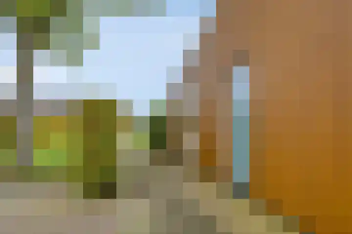 de Hop 4 Roden thumbnail 70