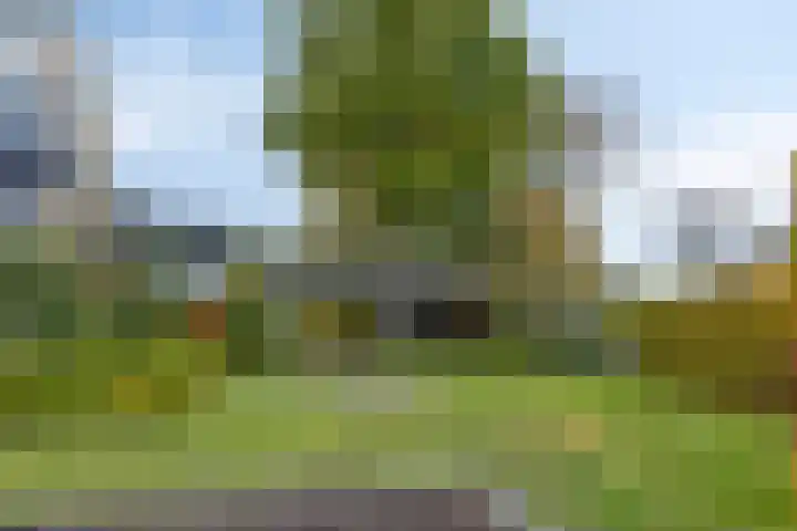 de Hop 4 Roden thumbnail 71