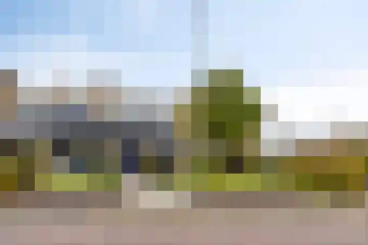 de Hop 4 Roden thumbnail 72