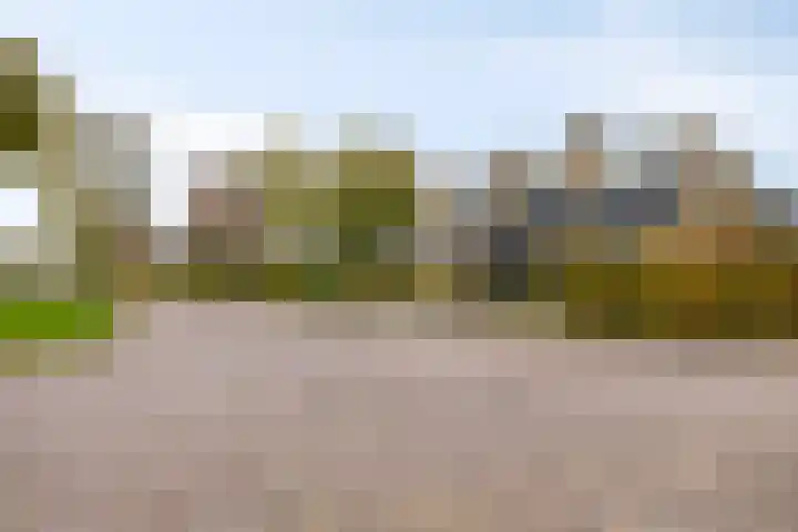 de Hop 4 Roden thumbnail 73