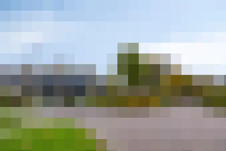 de Hop 4 Roden thumbnail 75