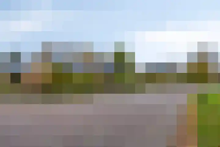 de Hop 4 Roden thumbnail 76