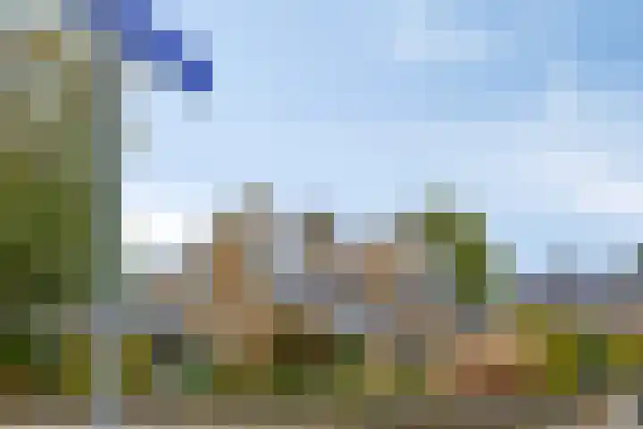 de Hop 4 Roden thumbnail 77