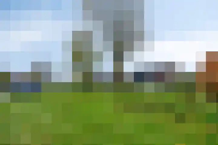 de Hop 4 Roden thumbnail 79