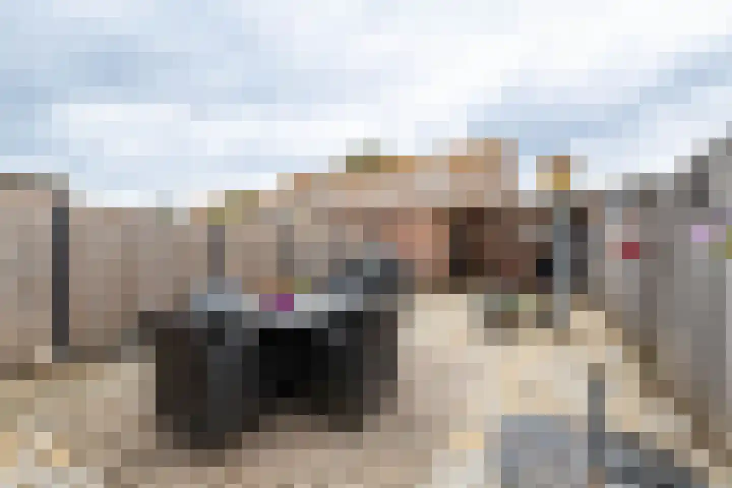 De Hop 9 Almelo thumbnail 22