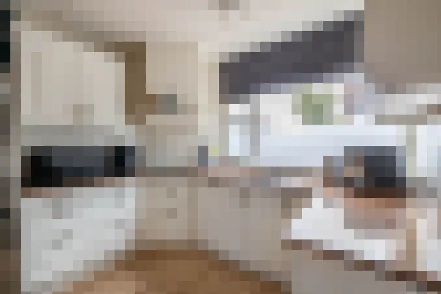 De Hop 9 Almelo thumbnail 4