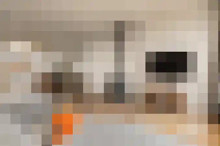De Hoper 17 Oostzaan thumbnail 11