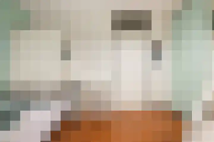 De Hoper 17 Oostzaan thumbnail 24