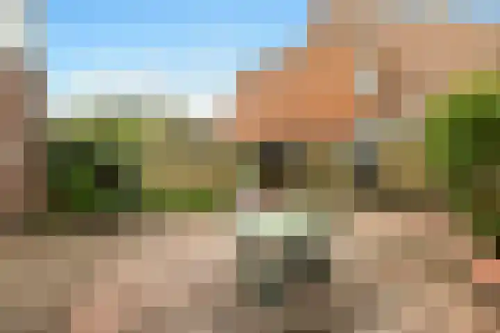 De Hoper 17 Oostzaan thumbnail 39
