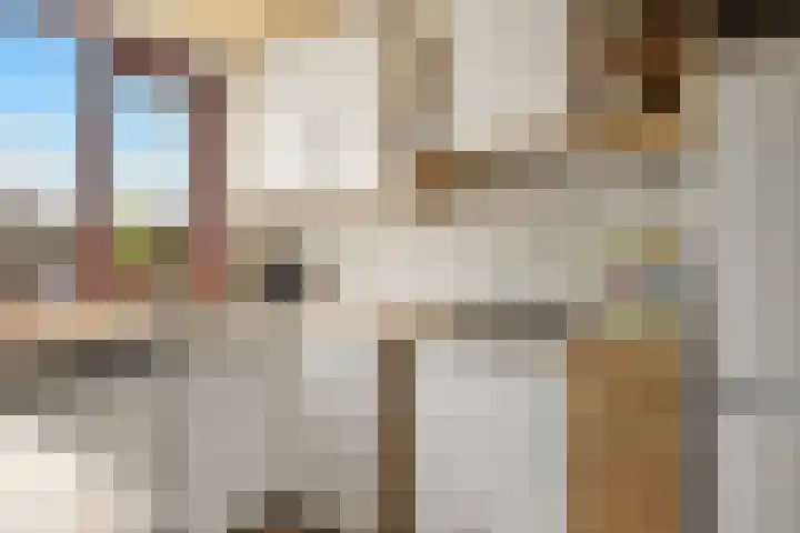De Hoper 17 Oostzaan thumbnail 5