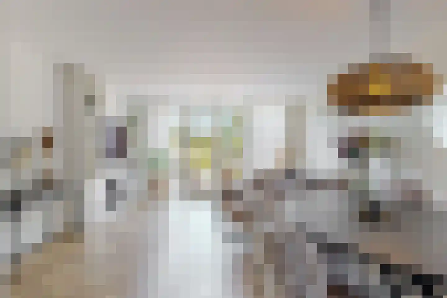 De Hoper 98 Oostzaan thumbnail 4