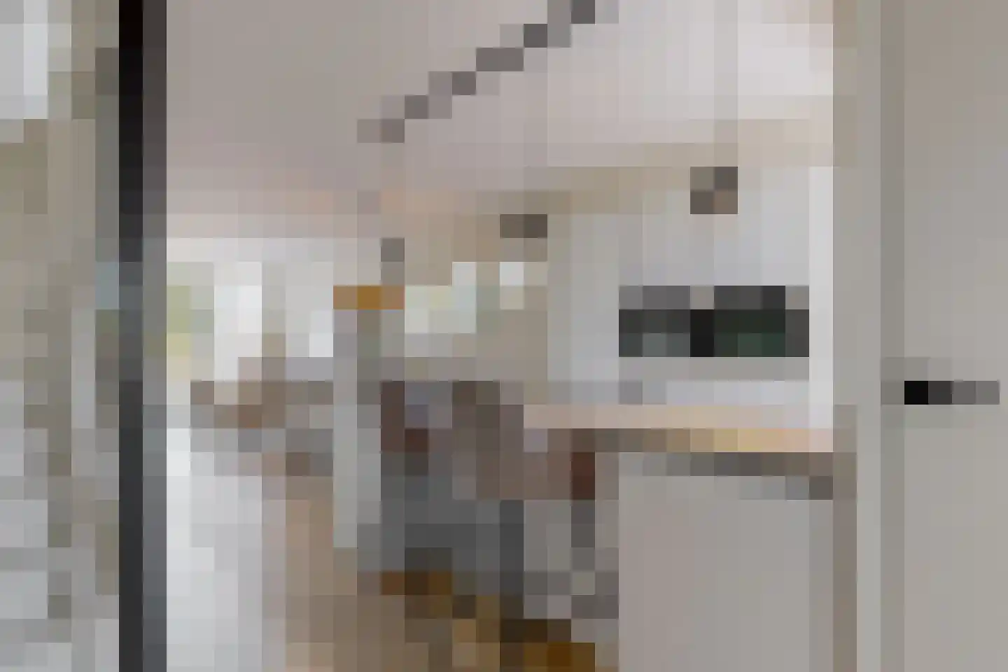 De Hoper 98 Oostzaan thumbnail 6