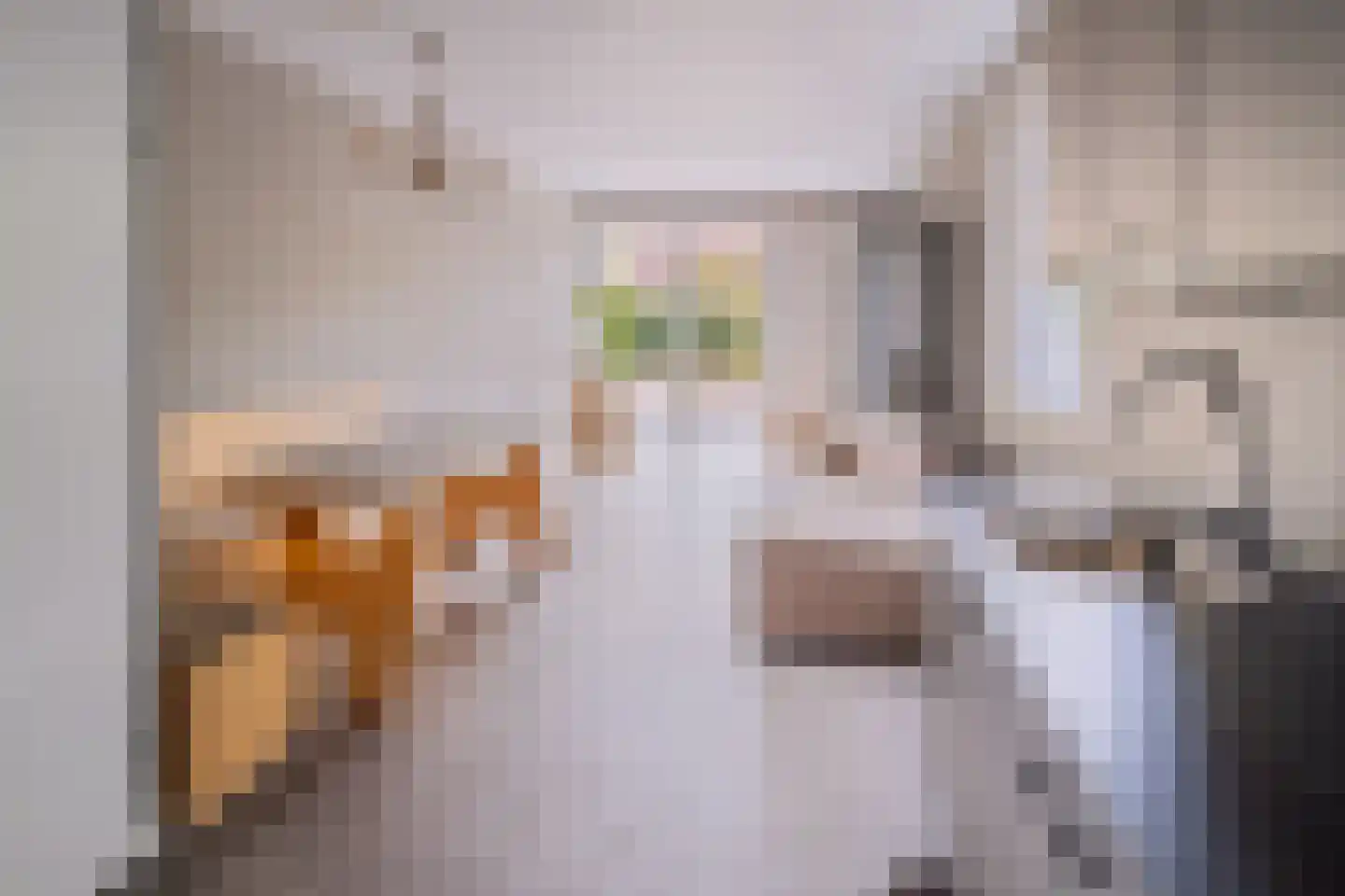 De Hopman 8 Aarle-Rixtel thumbnail 11
