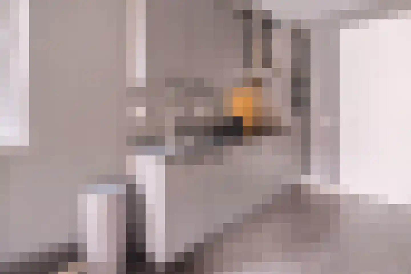 De Hopman 8 Aarle-Rixtel thumbnail 13