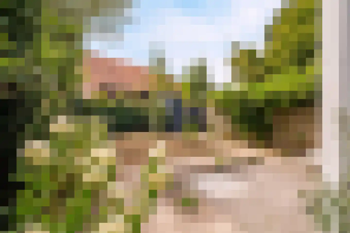 De Hopman 8 Aarle-Rixtel thumbnail 18