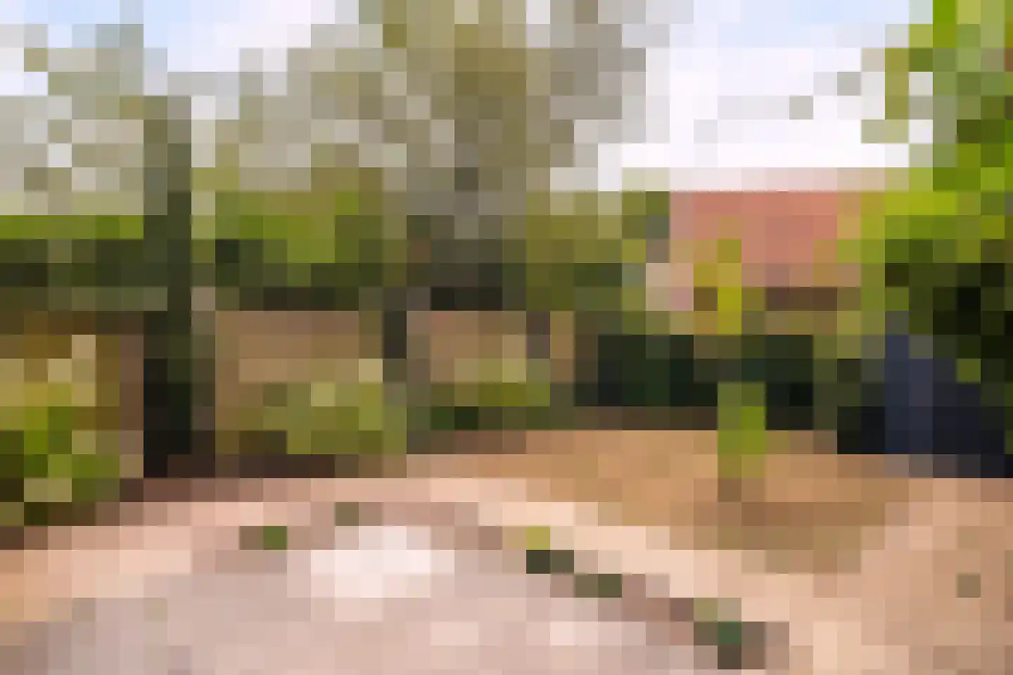 De Hopman 8 Aarle-Rixtel thumbnail 19