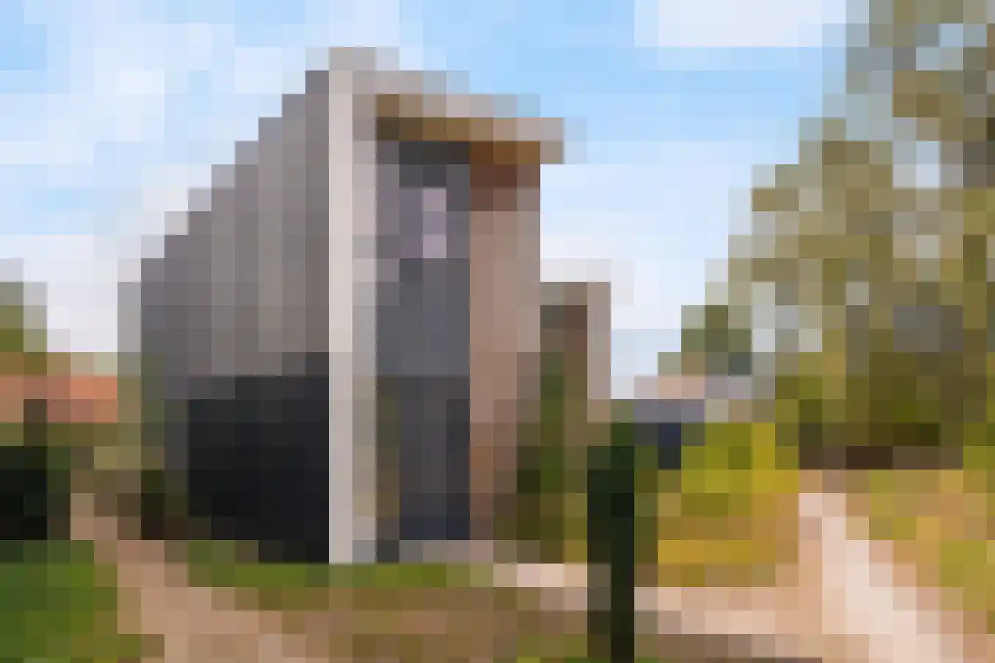 De Hopman 8 Aarle-Rixtel foto 2