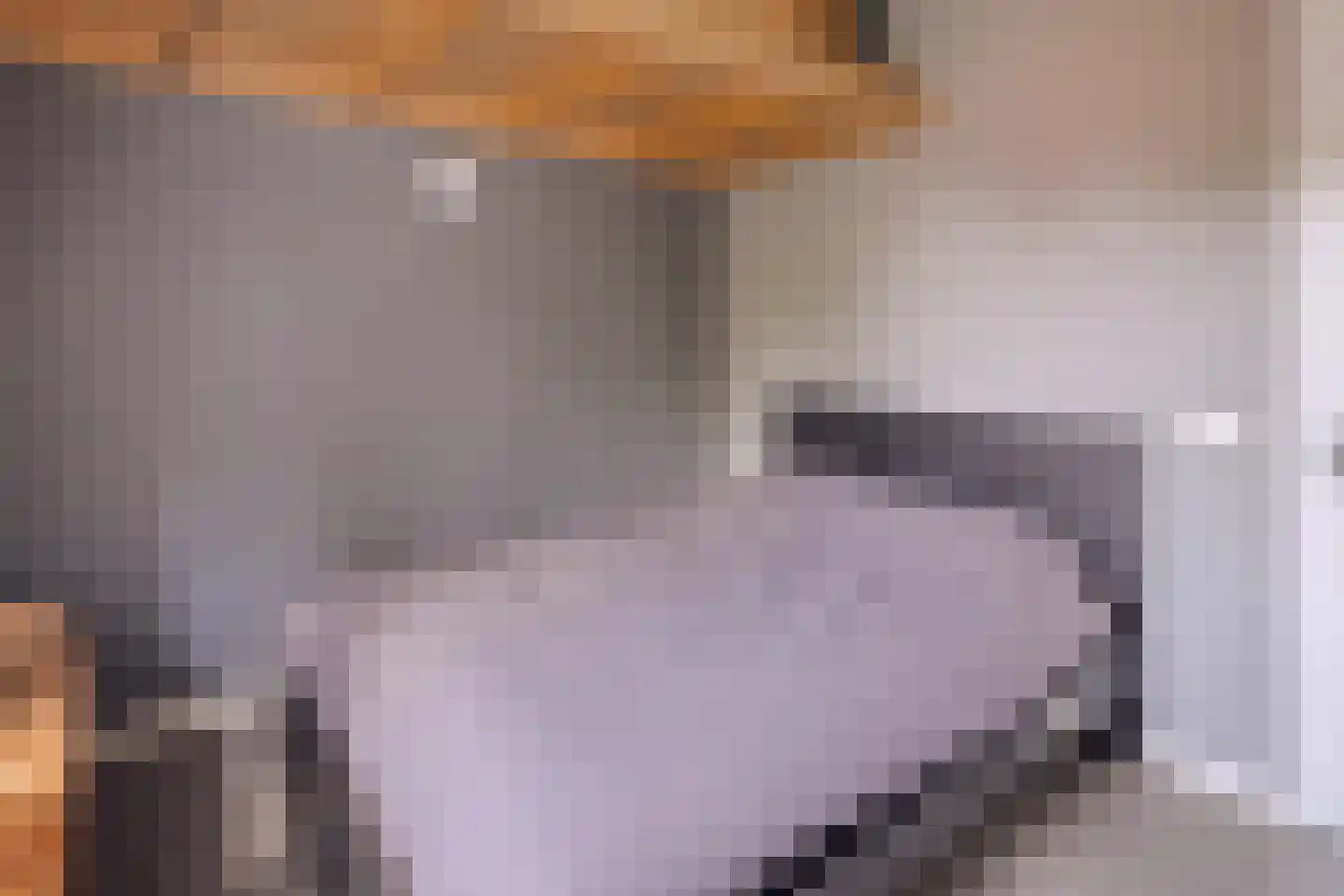 De Hopman 8 Aarle-Rixtel thumbnail 22