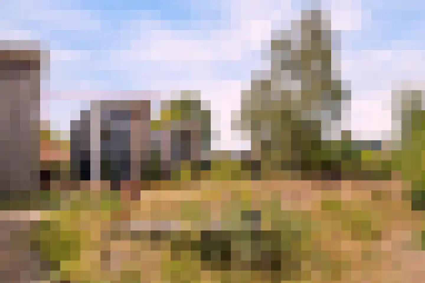 De Hopman 8 Aarle-Rixtel thumbnail 5