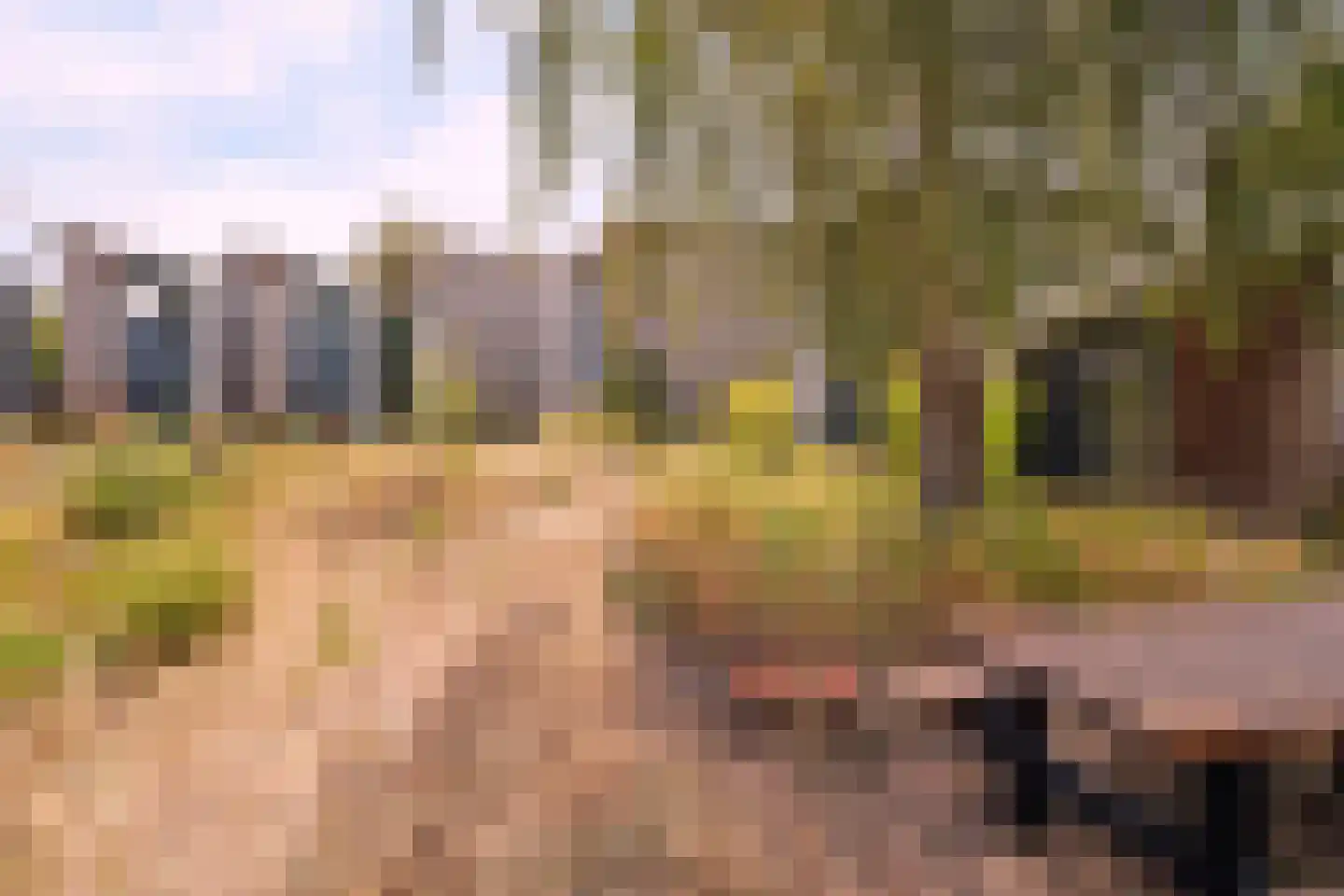 De Hopman 8 Aarle-Rixtel thumbnail 6