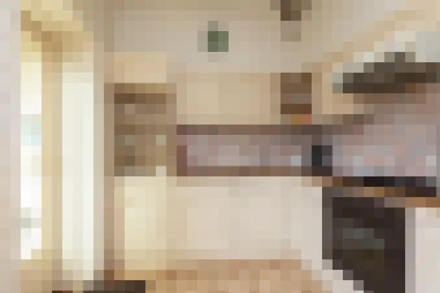 de Hoppen 113 Sneek thumbnail 10