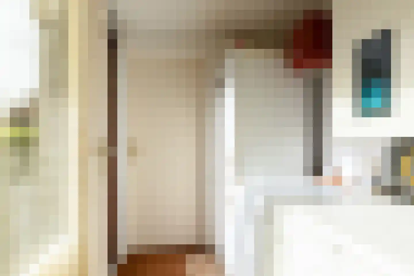 de Hoppen 113 Sneek thumbnail 11