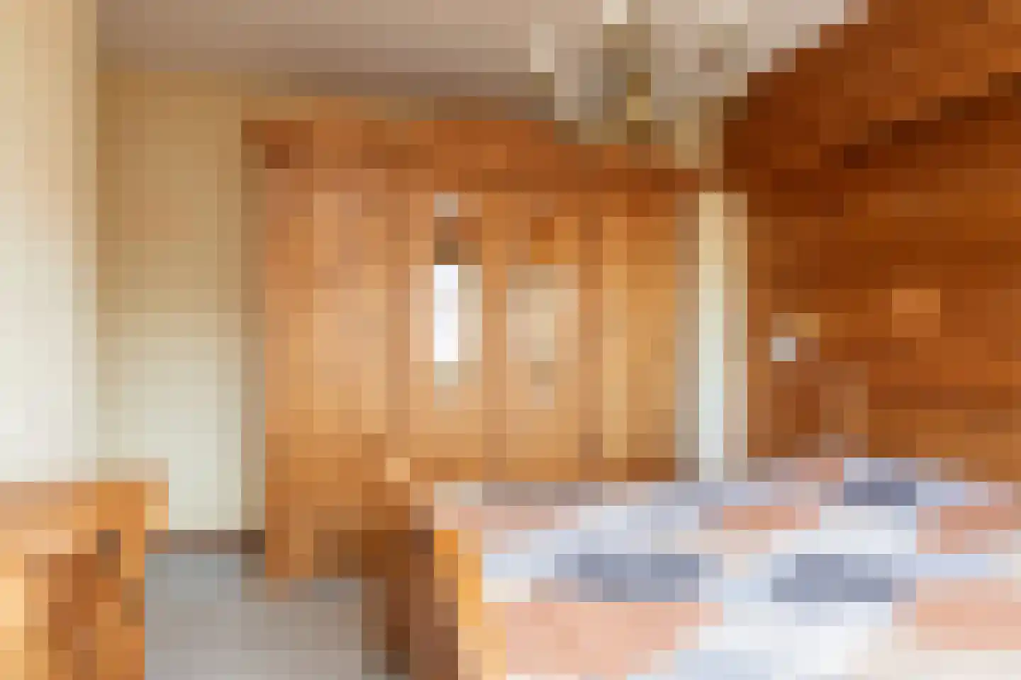 de Hoppen 113 Sneek thumbnail 17