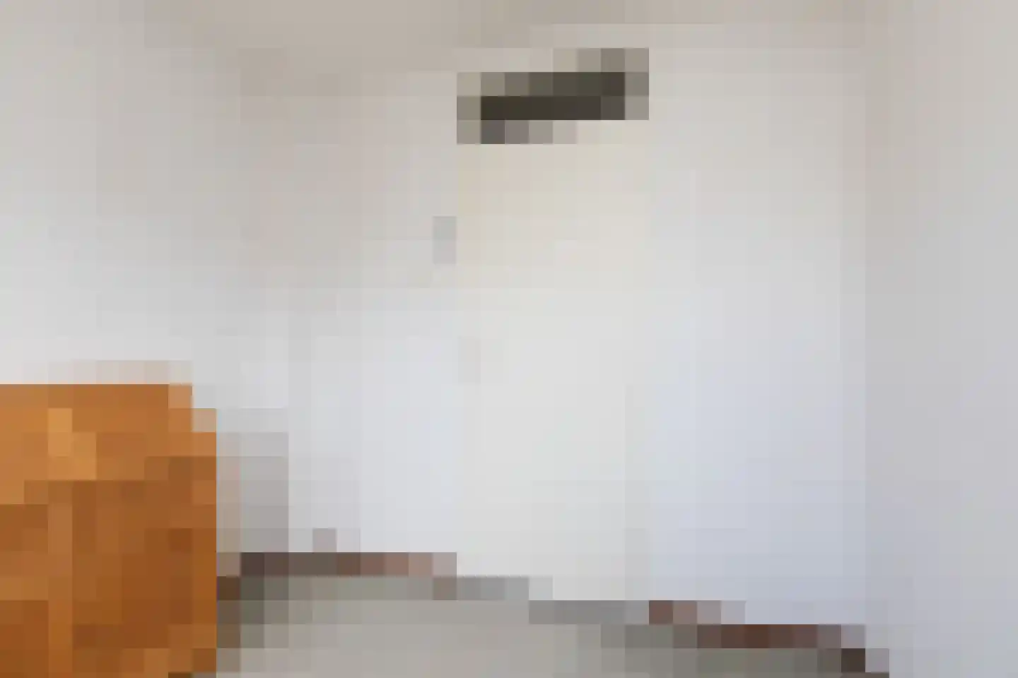 de Hoppen 113 Sneek thumbnail 21