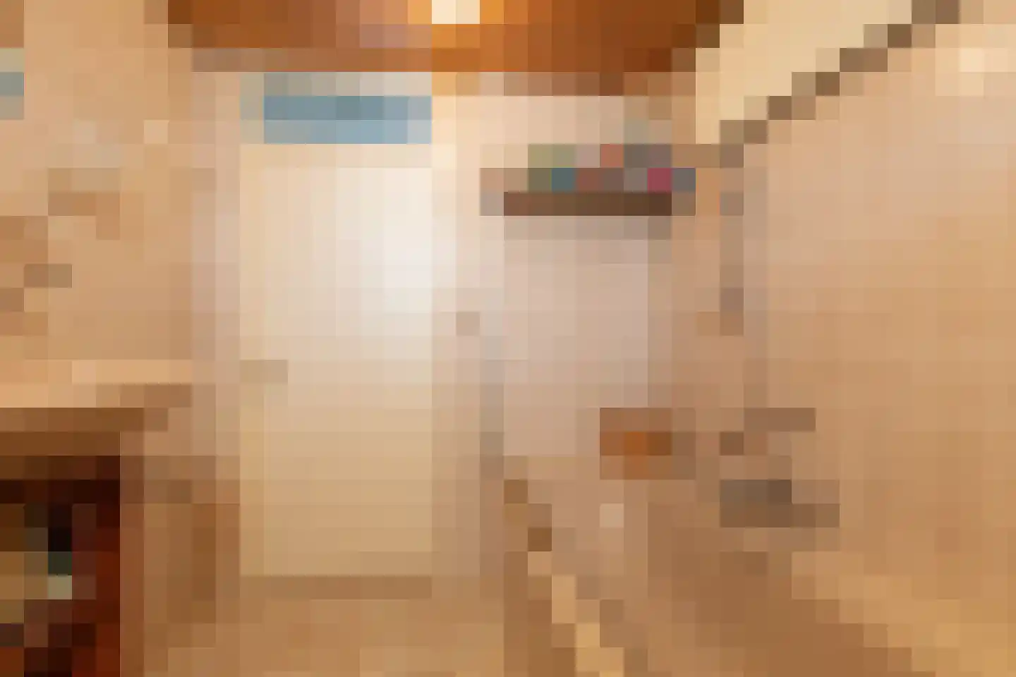 de Hoppen 113 Sneek thumbnail 23