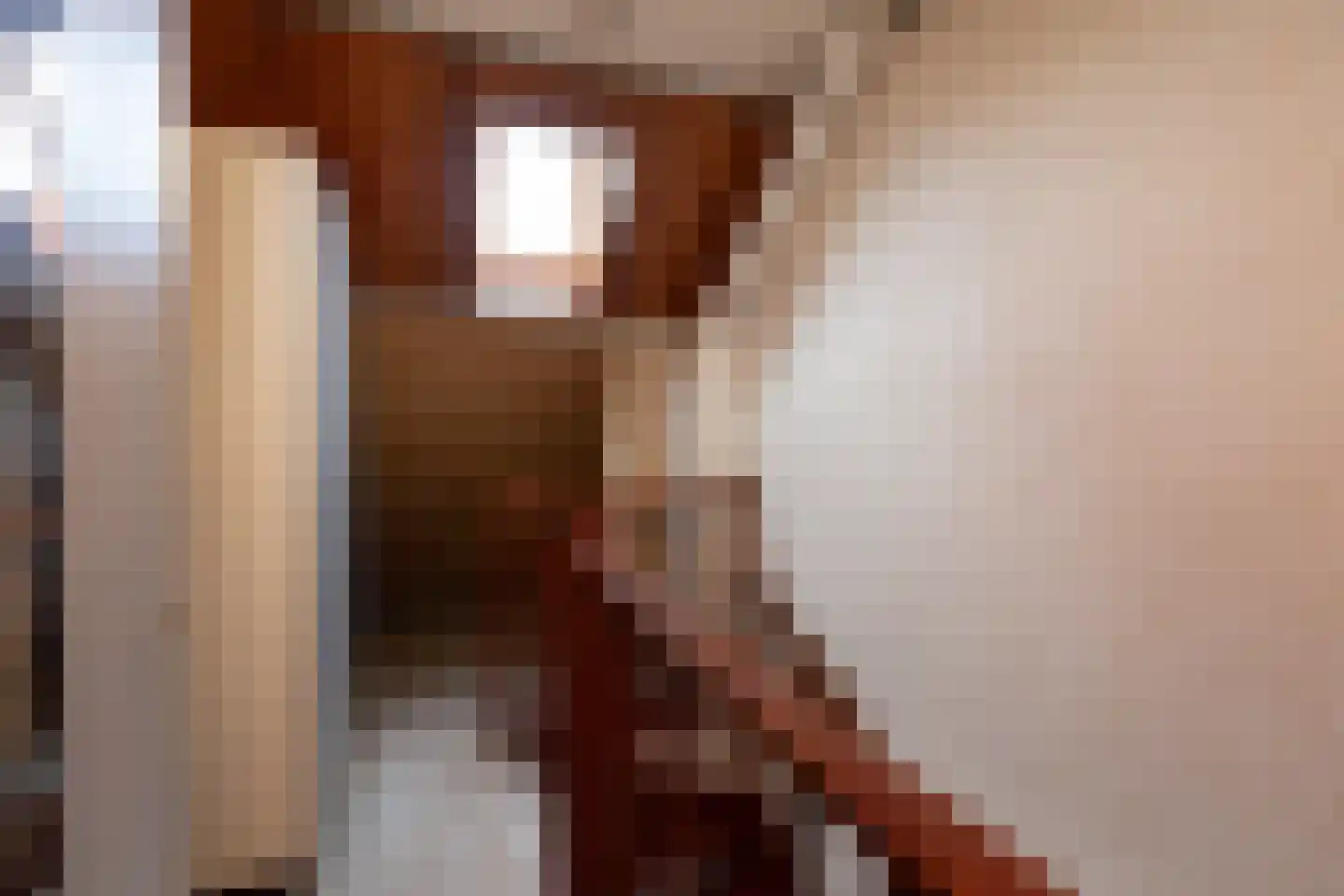 de Hoppen 113 Sneek thumbnail 25