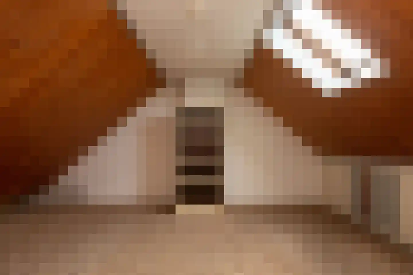 de Hoppen 113 Sneek thumbnail 26