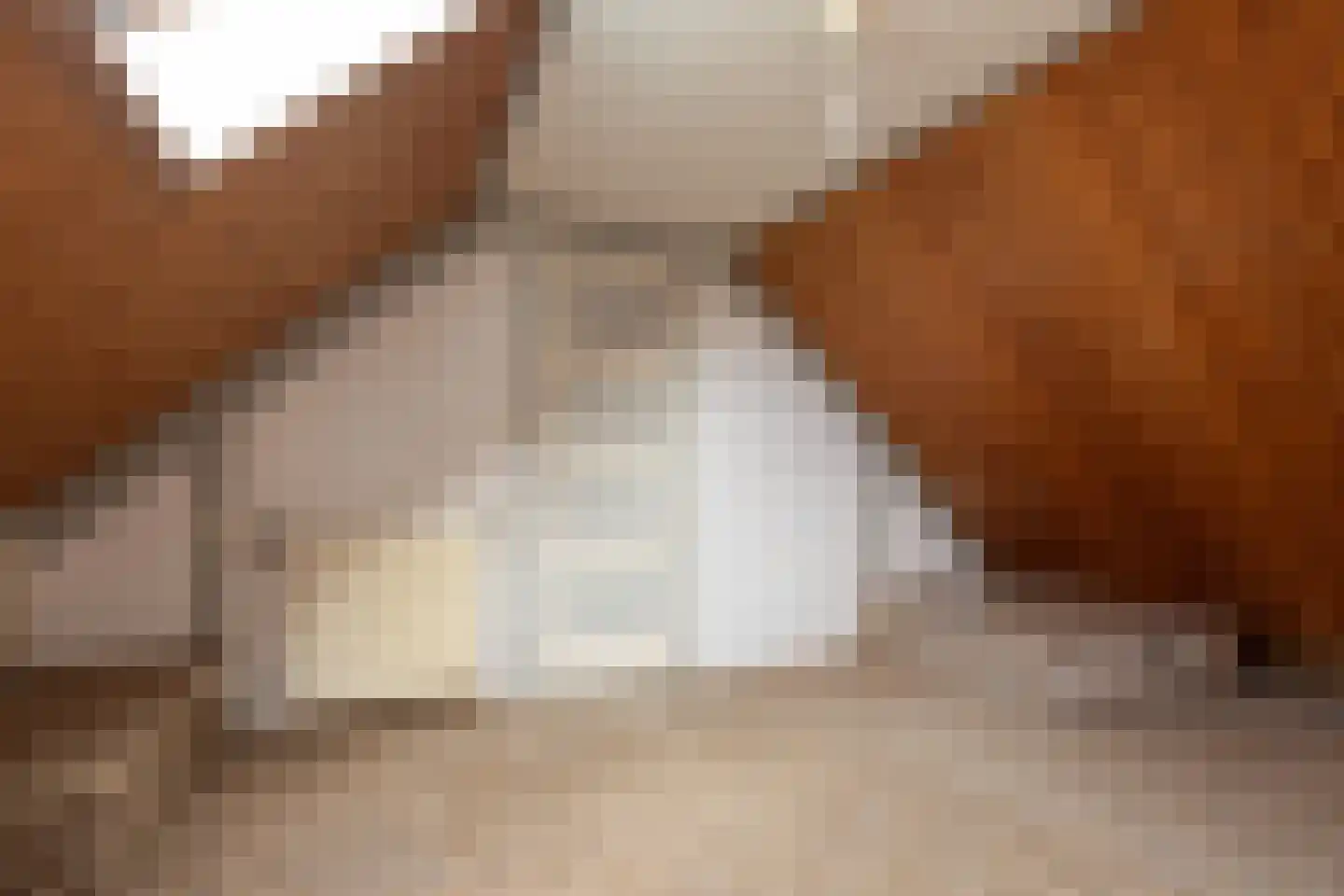de Hoppen 113 Sneek thumbnail 28