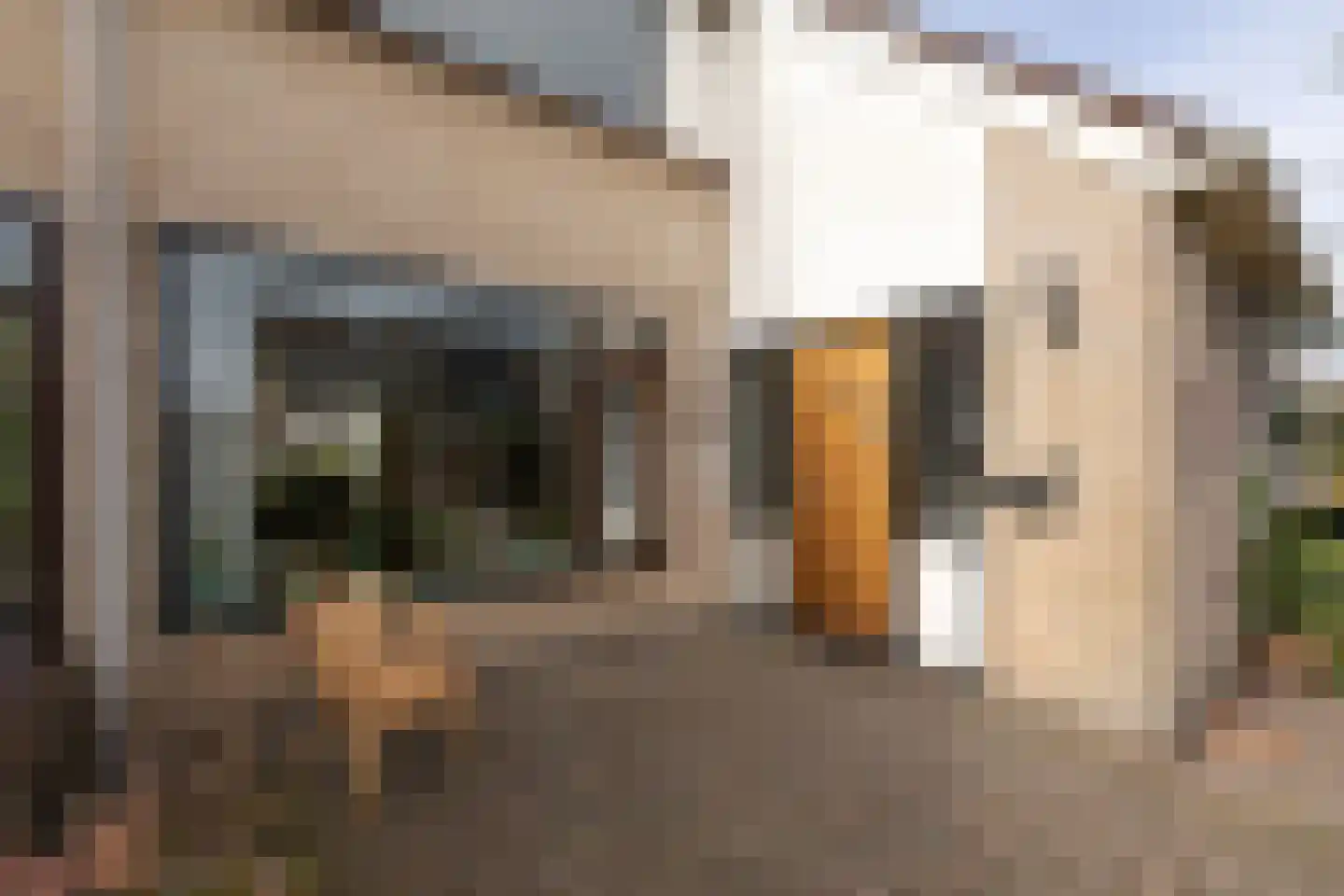 de Hoppen 113 Sneek thumbnail 33