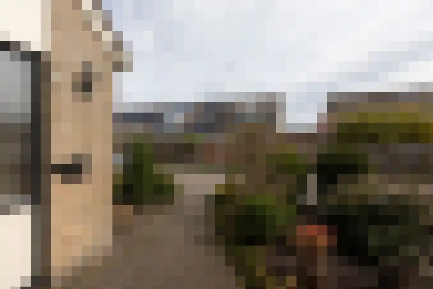 de Hoppen 113 Sneek thumbnail 34