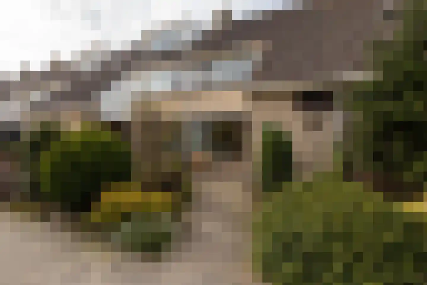 de Hoppen 113 Sneek thumbnail 36