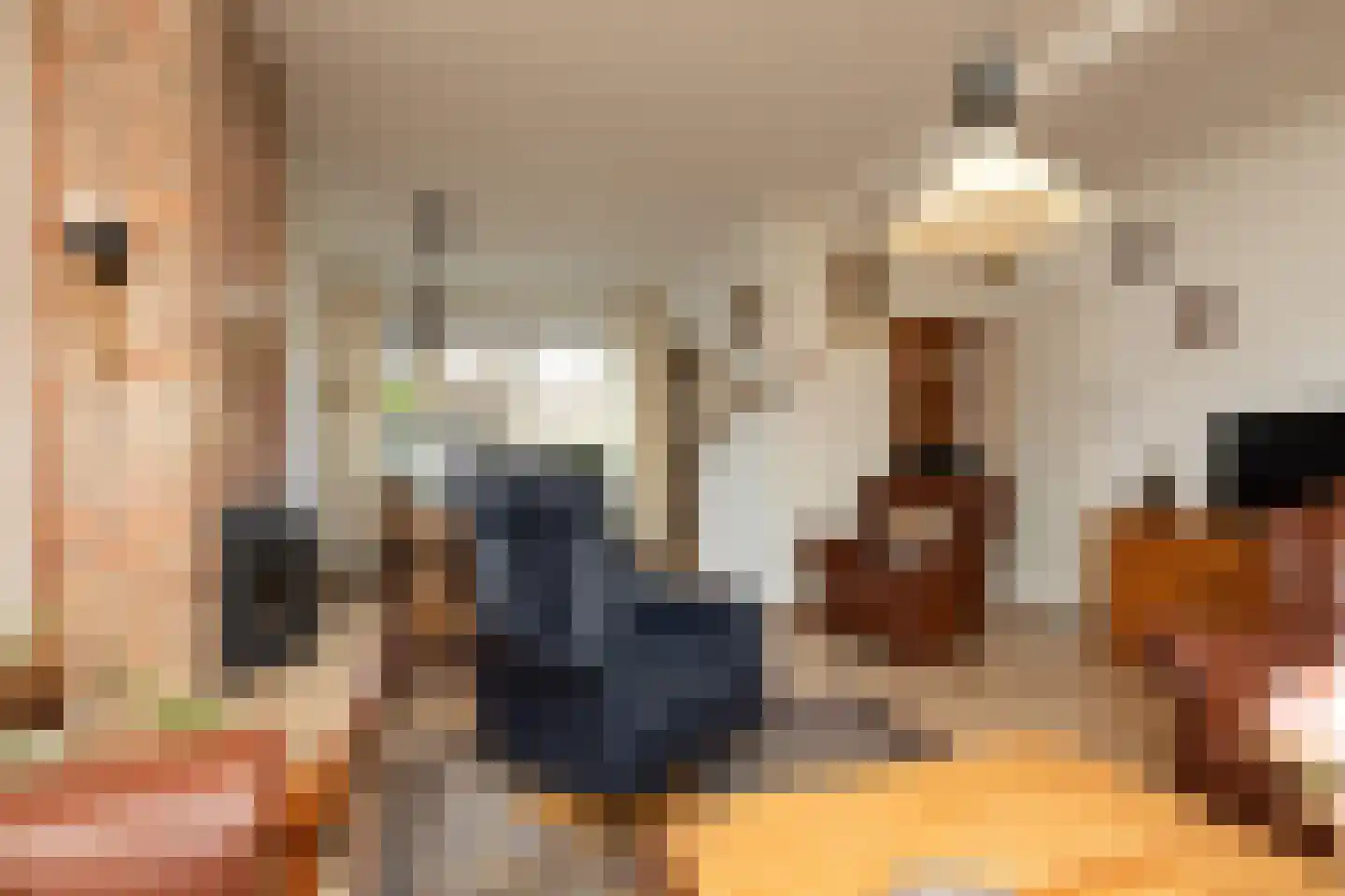 de Hoppen 113 Sneek thumbnail 4