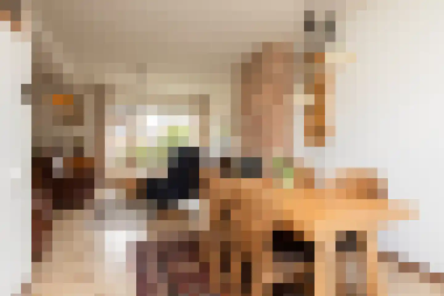 de Hoppen 113 Sneek thumbnail 7