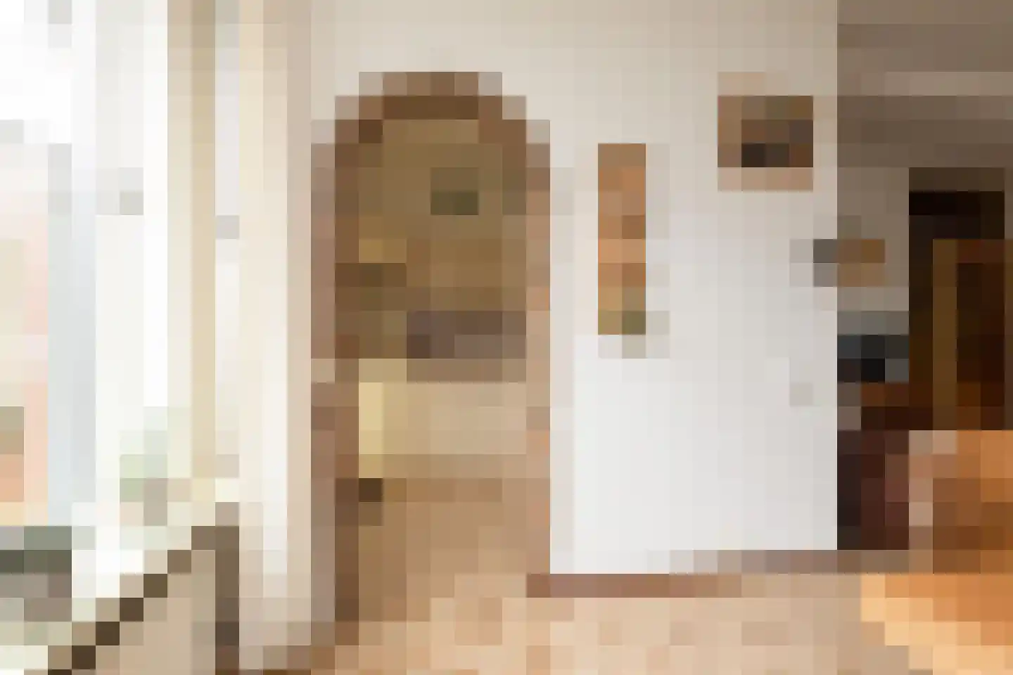 de Hoppen 113 Sneek thumbnail 8