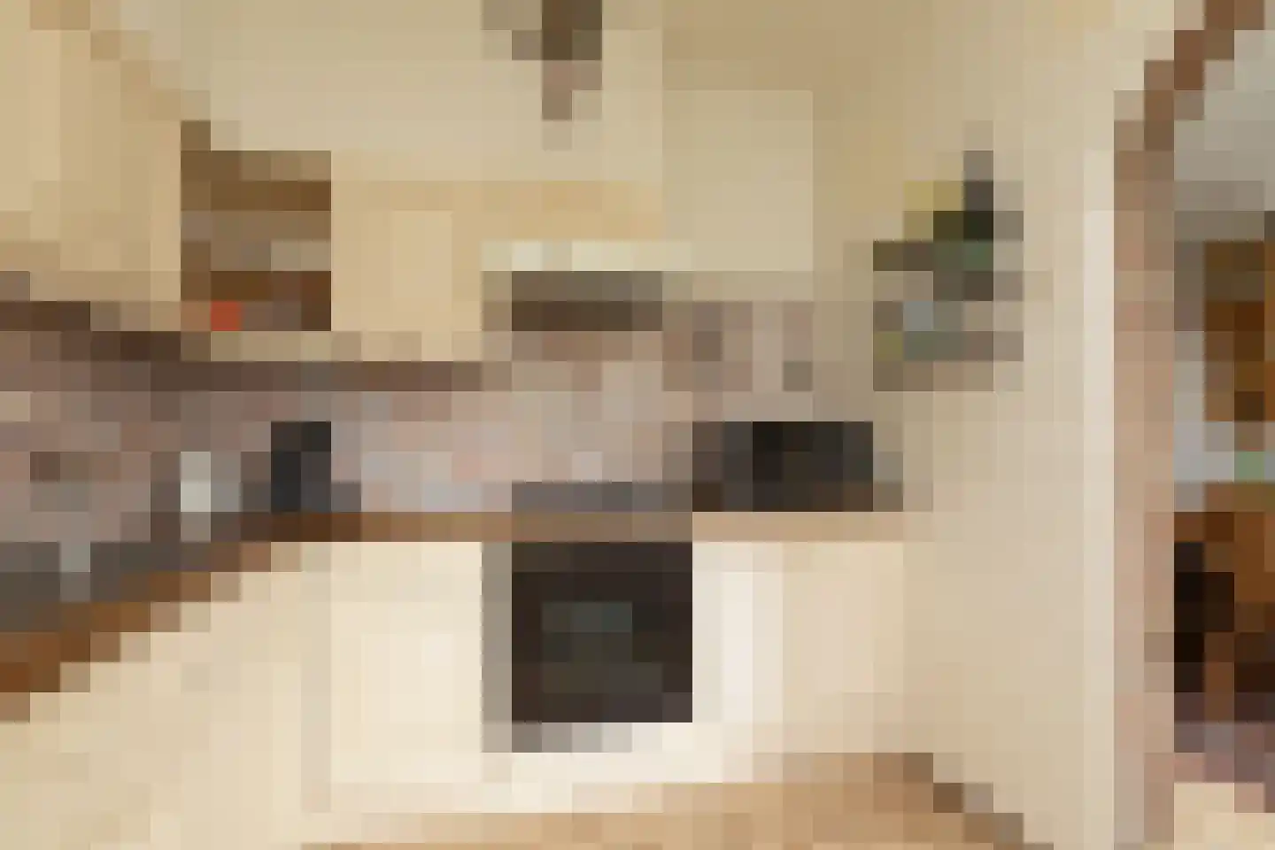 de Hoppen 113 Sneek thumbnail 9