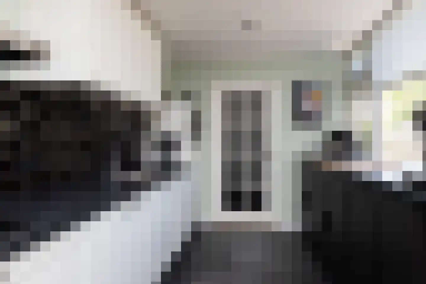 de Hoppen 137 Sneek thumbnail 10